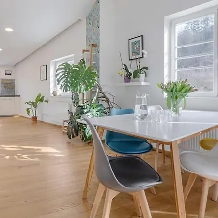 Beautiful Loft-apartment With A Large Terrace Appartamento