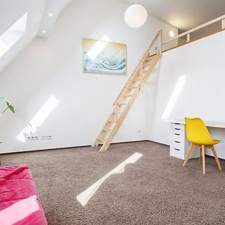 Beautiful Loft-apartment With A Large Terrace Appartamento *